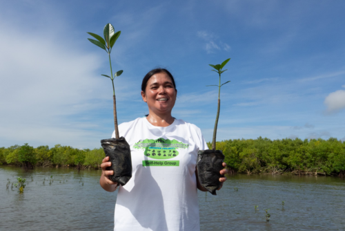 Planting Mangroves, Planting Hopes